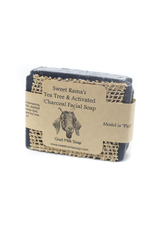 Activated Charcoal and Tea Tree Facial Soap Bar